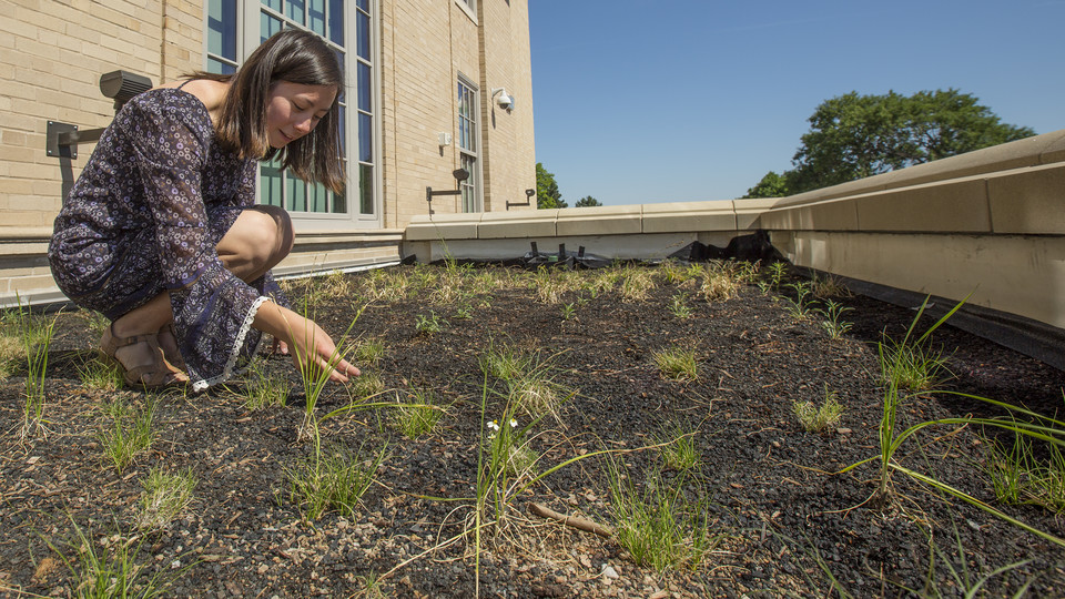 Kylie Tucker examines the plantings in the new green roof at the Rec and Wellness Center on East Campus. Tucker designed the space with assistance from ASUN's Green Fund.