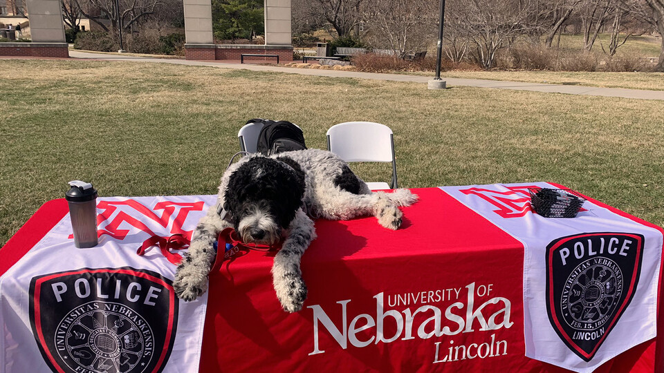 UNLPD therapy dog