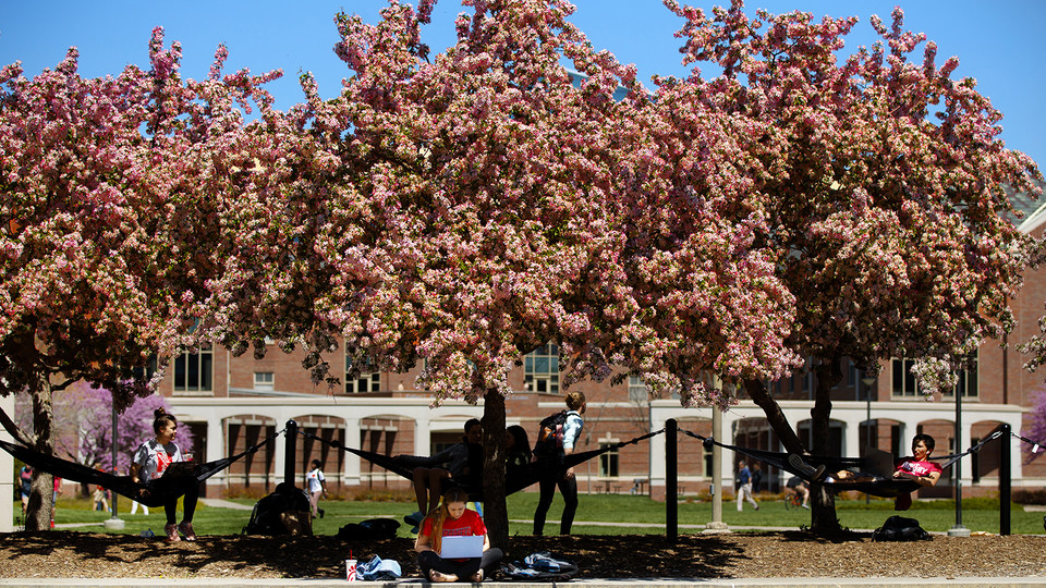 Students relax in the shade and hammocks on the Nebraska Union Plaza during spring 2019.