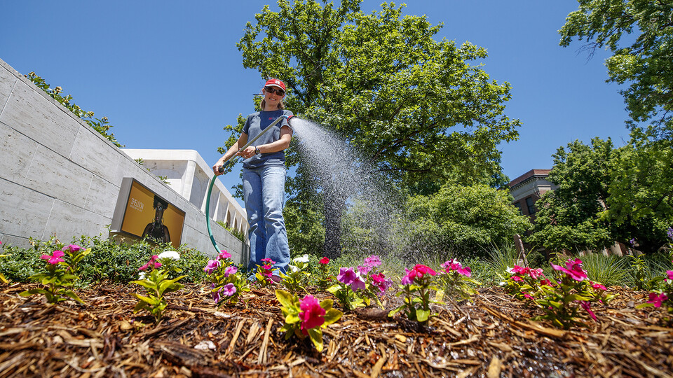 A Landscape Services employee waters freshly planted flowers near the Sheldon Museum of Art sculpture garden in spring 2020.