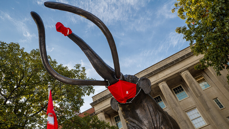 Archie the Mammoth, a bronze sculpture outside of the University of Nebraska State Museum, is all masked up for protection against the global pandemic. The museum will offer free admission for veterans from Nov. 11-15.