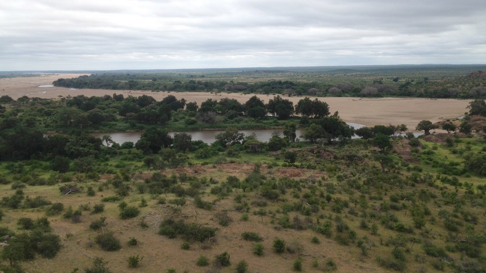 A research project that includes UNL's Trenton Franz is helping protect the endangered riparian vegetation at Mapungubwe National Park in South Africa.