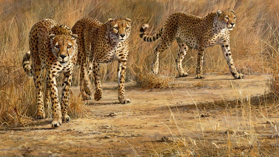 "Three Brothers" (2008) by Kim Diment is featured in "Feline Fine: Art of Cats II," on display in Morrill Hall.