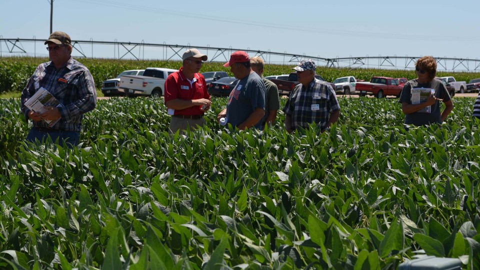 Producers learn about the latest research and technology to assist their soybean production and management decisions at a 2015 Soybean Management Field Day. The 2016 field days will be Aug. 9-12 at farms near Orchard, Chapman, Cordova and Schuyler.