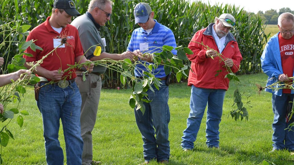Producers analyze soybean plants at the 2015 late-season crop management diagnostic clinic.