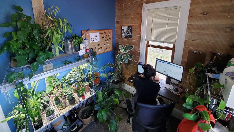 Andrea Lopez' multi-purpose space has been named the second Husker Home Office of the Week award winner. Her warm, inviting space features a lush plant growing station alongside a workspace, cat entertainment zone and storage.