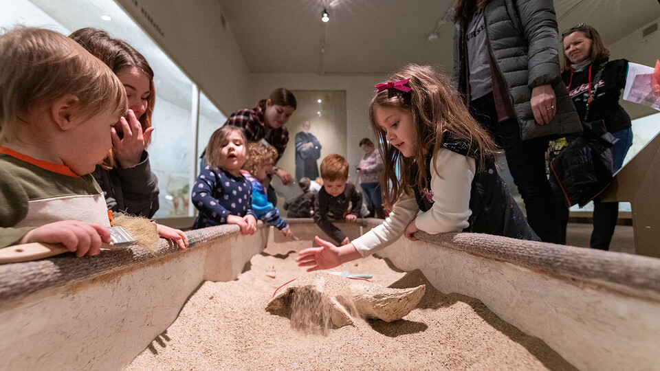 Archie’s Party — 9 a.m. to 5 p.m. June 12 at the University of Nebraska State Museum-Morrill Hall — will feature two large fossil dig sandboxes, as well as a scavenger hunt, the short film “Carrie Barbour” and a variety of craft stations.