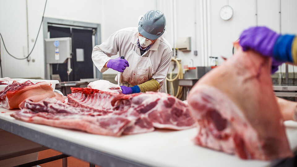 Calvin Schrock, research manager in animal science, cuts a pork carcass in May 2020. The University of Nebraska–Lincoln has announced plans to develop the Small Meat Processing Plant of the Future to address workforce shortages and other challenges faced by small meat processors.