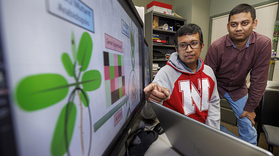 Rajib Saha, assistant professor of chemical and biomolecular engineering, and graduate student Niaz Bahar Chowdhury have created a genome-scale metabolic model for the corn root to study its nitrogen-use efficiency under nitrogen stress conditions.