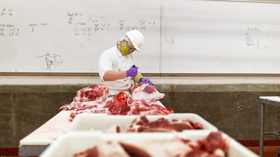 The meat processing industry experienced major disruptions as a result of the COVID-19 pandemic. Agricultural economics Professor Azzeddine Azzam has received funding from the U.S. Department of Agriculture’s National Institute of Food and Agriculture to study the impact of the pandemic on meat processors and the resilience of the industry as a whole.