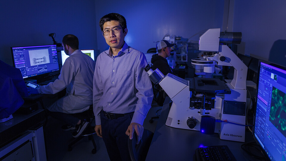 Ruiguo Yang, assistant professor of mechanical and materials engineering, is using a $540,000 grant from the National Science Foundation’s Faculty Early Career Development Program to explore how cell-cell bridges respond to strains of different magnitudes and rates.
