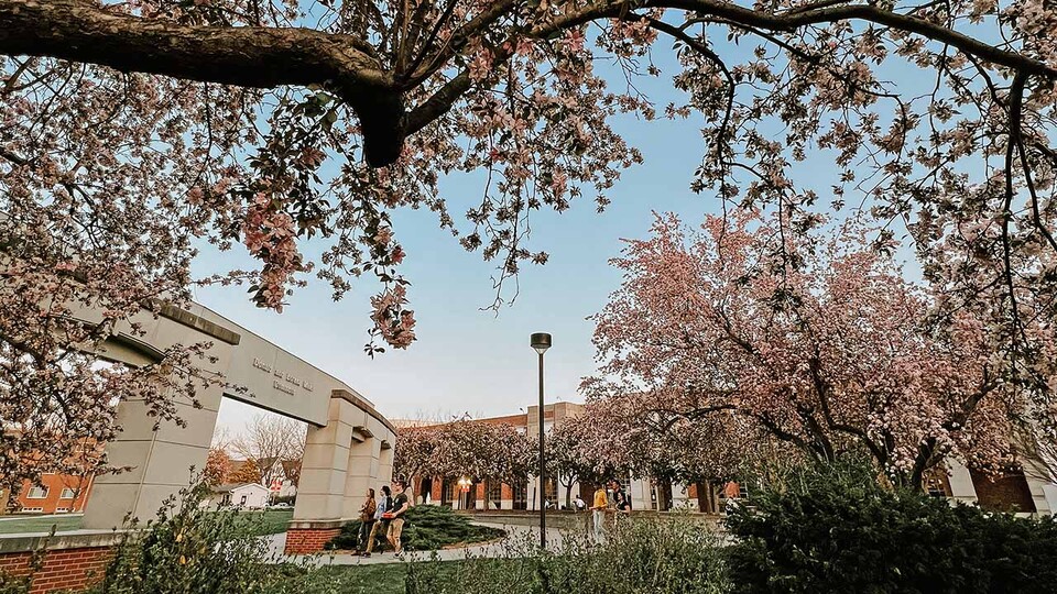 Students walking near Donald and Lorena Meier Commons, among blossoming trees