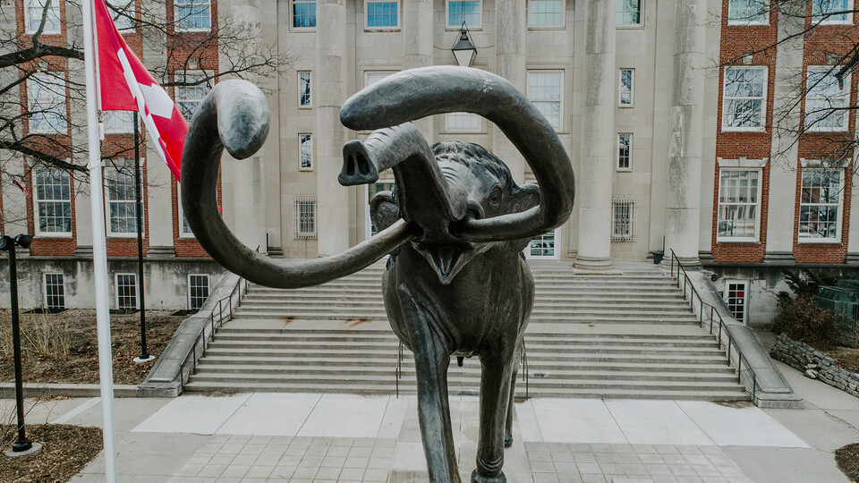 Bronze woolly mammoth statue with front entrance of Morrill Hall in background