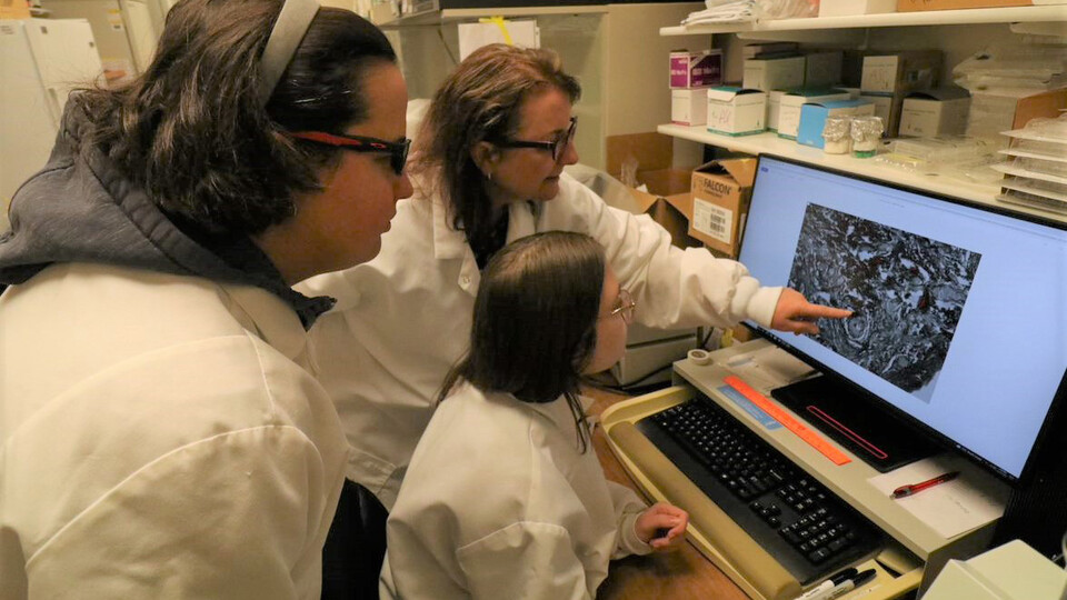Andrea Cupp (center), a professor in the Department of Animal Science center, points on the screen to fibrosis, a measure of inflammation, in a bovine ovarian cortex. At left is Ligia Prezotto, research assistant professor. At right is Brooke Rudloff, a master’s degree student from David City, Nebraska. Rudloff is studying the causes of fibrosis in the ovaries of research cows to bolster understanding of bovine infertility.