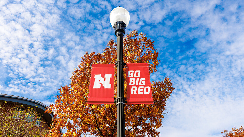 "N" and "Go Big Red" banners on a lightpole with tree in background
