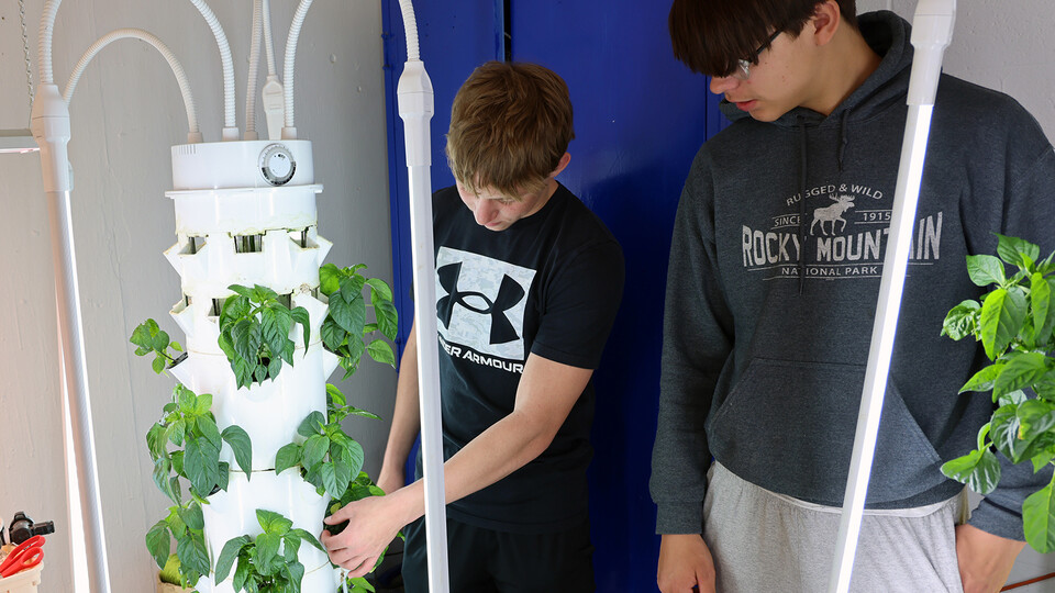 Students grow bell peppers in a hydroponic growing tower at Southern High School in Wymore.