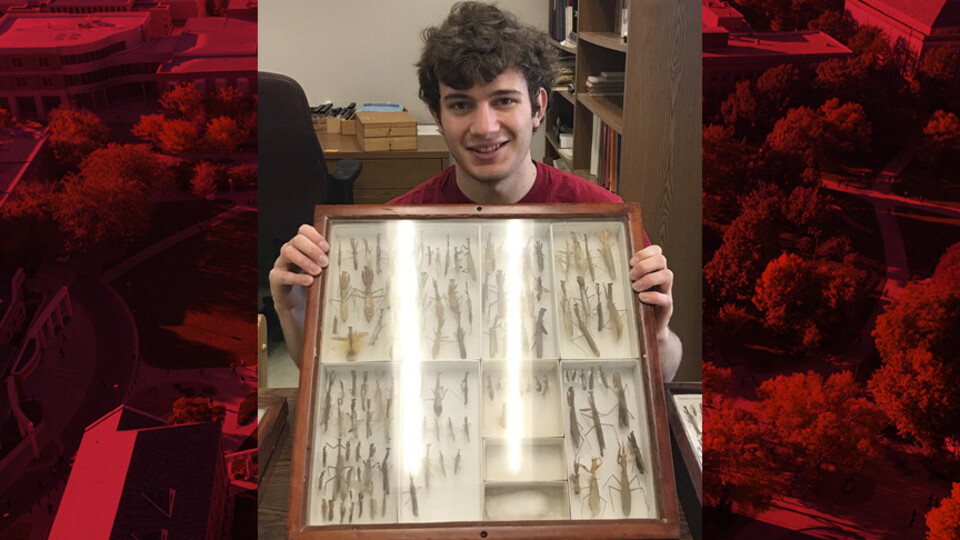 Bennett Grappone, a senior microbiology and insect science major, is one of the student recipients of the Undergraduate Experiential Learning grants offered through the Center for Transformative Teaching. Grappone will be using his grant to classify insects.