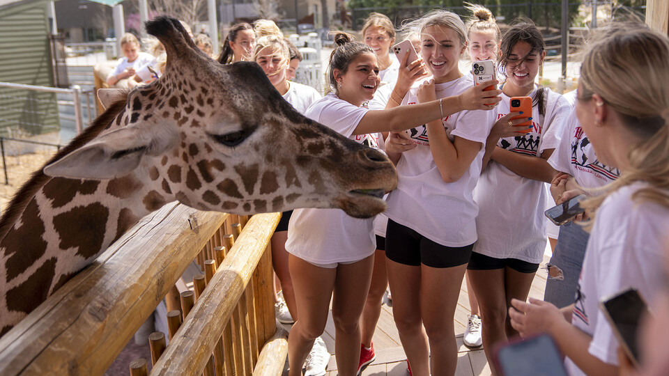 Alpha Chi Omega spend time with one of the giraffe at the Lincoln Children's Zoo while completing volunteer work for the Big Event.