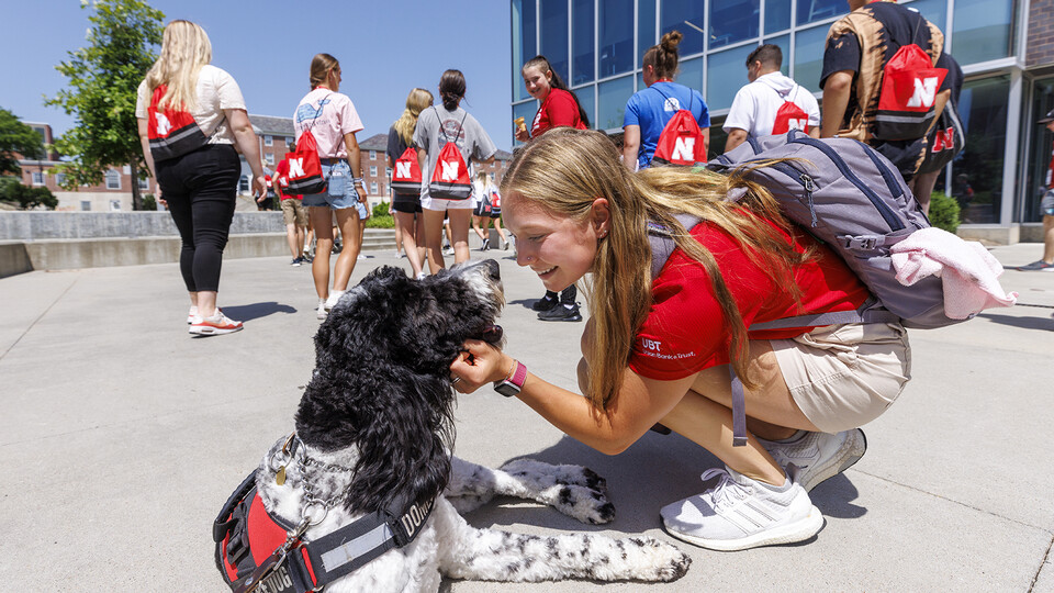 NSE Leader Gabrielle Modica, a New Student Enrollment leader, pauses to give Hershey a bit of attention outside the Cather Dining Center on June 17. Hershey is an 18-month old labradoodle being trained as a therapy dog for the University Police Department.