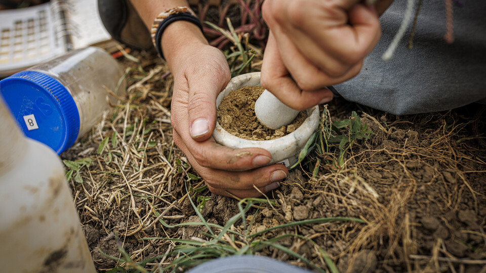 A student sifts through a soil sample in the soil judging pit on East Campus.