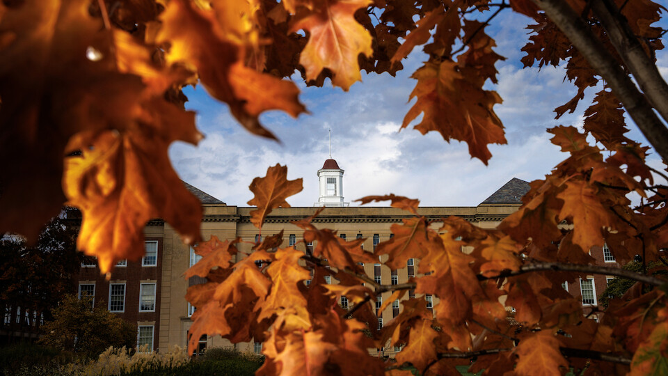The Love Library Cupola is framed by orange tree leaves in the fall of 2022.