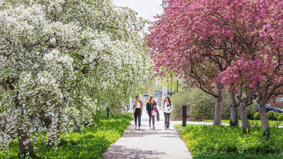 Students walk on campus April 20, 2023.