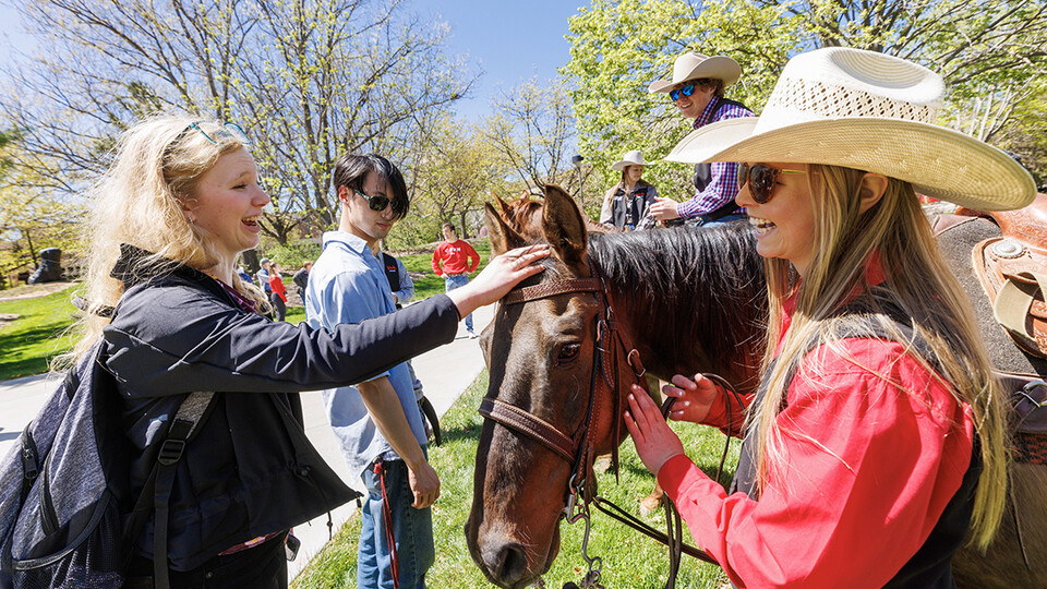 Seven horses and multiple club members were on city campus for students to meet, get close to and have their photos taken.