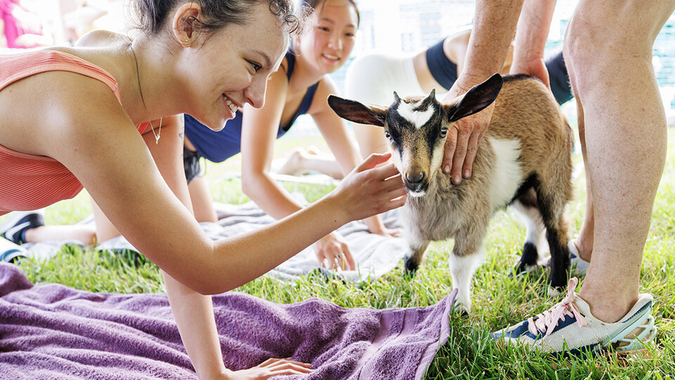 Rose Padios, a freshman from Omaha, pets a goat kid during goat yoga session.