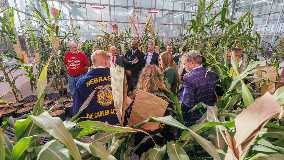 University leaders, state officials and representatives of ag-based groups learn about phenotyping research in the Nebraska Innovation Greenhouse following the Agriculture Week proclamation on March 19. Ag Week in Nebraska is March 17-23.