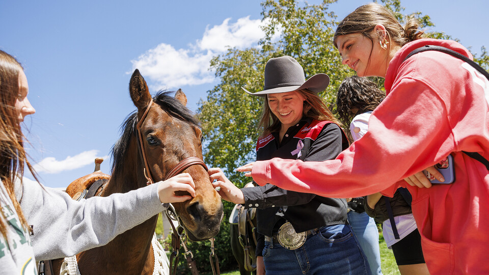 Nettie the horse has its nose scratched by Sami Lange (center), a rodeo team member, and Juliet Traver (left) and Maggie Gessner on April 29. The event promoted the Nebraska Cornhusker College Rodeo, which is May 3-4.