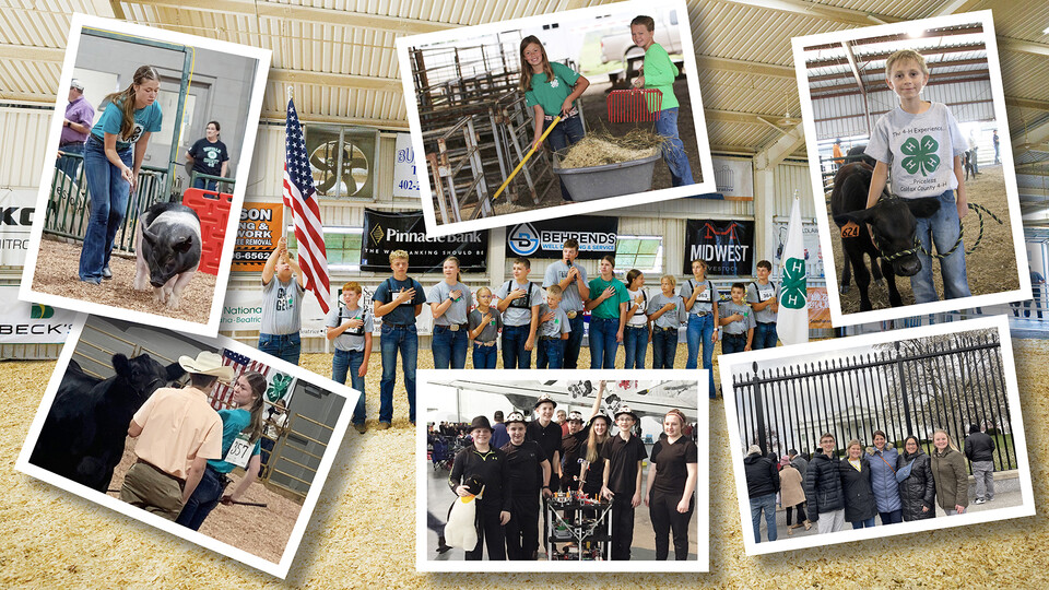 Composite image showing youth participating in 4-H events.
