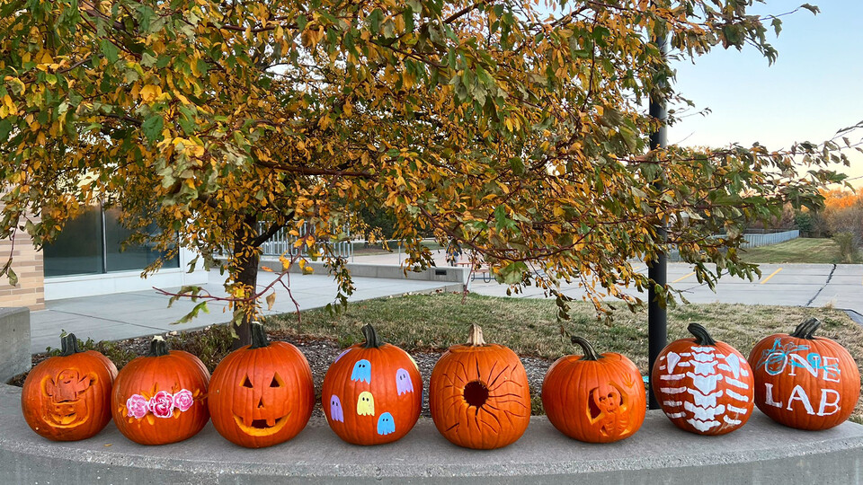 Lineup of carved and painted jack-o'-lanterns