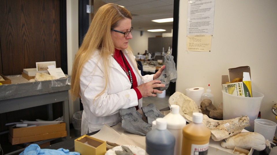 Carrie Herbel, chief preparator for the University of Nebraska State Museum's vertebrate paleontology collection, examines a resin copy of a fossil humerus on Feb. 8. The duplicate fossil will replace one used in an exhibit at Agate Fossil Beds National Monument.