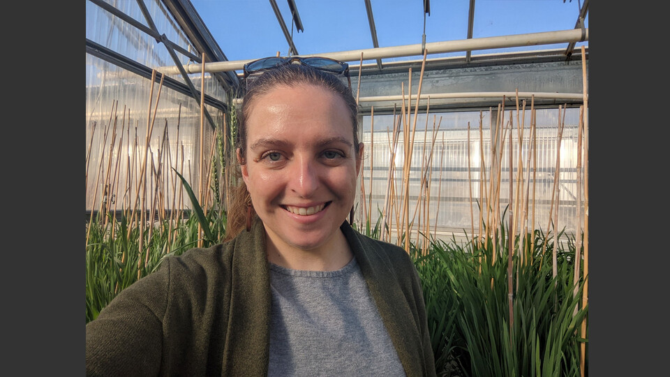 Katherine Frels, assistant professor in agronomy and horticulture, marked her first year as the principle investigator for small grains breeding program. She dedicated the tweet to the technicians and students who help fuel the program’s success. Learn more at https://go.unl.edu/wmrb.