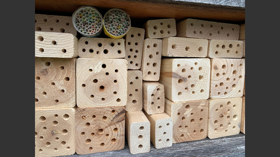Wood blocks prepared to serve as bee houses.
