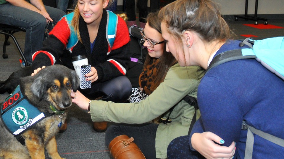 Students pet Boo, a shepherd mix, during the Healing Hearts Therapy Dogs visit in October.