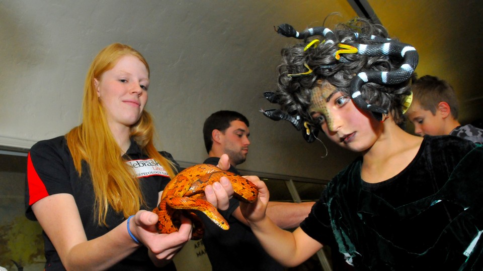 Dressed as Medussa, Kiah Uhart (right) interacts with a corn snake during Fright at the Museum on Oct. 24. Student volunteers, including (at left) Carolyn Reiland-Smith, from UNL's herpetology lab provided the snakes and other reptiles for the museum fundraiser.