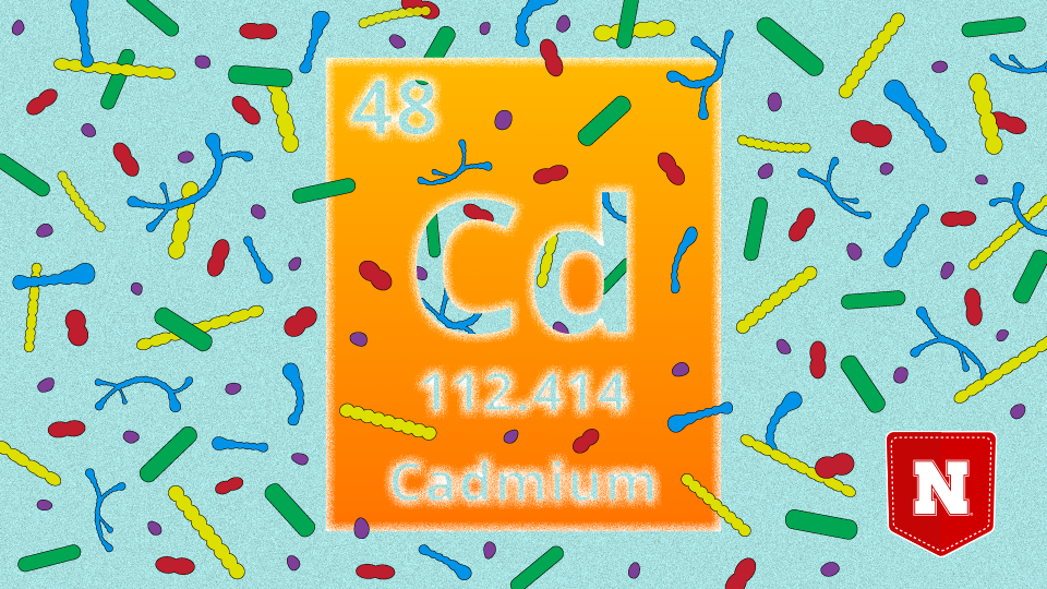 Periodic table listing for cadmium surrounded by bacteria