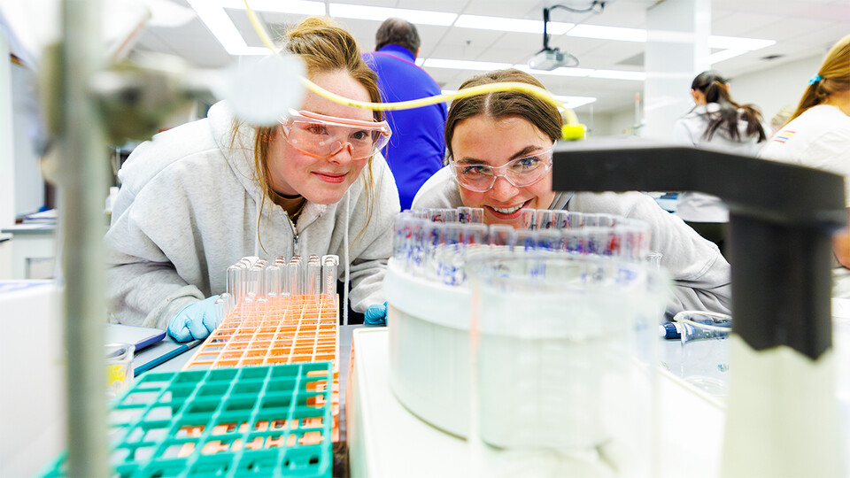Riley Bruno and Elizabeth Stratman watch an egg white solution pass into test tubes