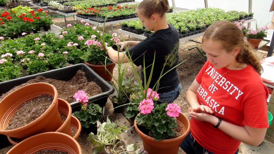 UNL Horticulture Club members Erica Hughes and Erin Kinley prepare planters for the club's annual sale.