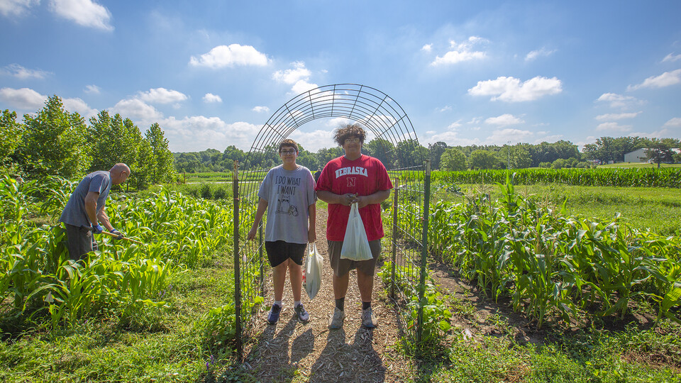 Ted Hibbeler (from left) and brothers Gabe and Mateo Perales work in the Indigenous Garden on East Campus. The garden, which was added this year, is part of the university's Indigenous Food Sovereignty Program.
