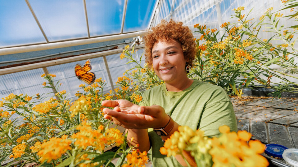 Miyauna Incarnato, a biological sciences graduate student from Akron, Ohio, releases a monarch butterfly in a greenhouse on East Campus.