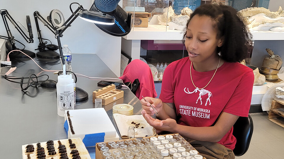 Nadija Logans works with specimens in the visual lab.