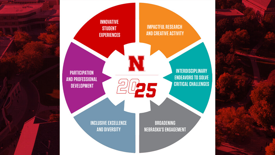 The N2025 strategic plan includes six aims. Each of the aims will be featured weekly through April 25. The first video (above) is focused on innovative student experiences.