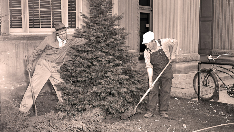 Landscape Services employees plant a tree near Love Library in this undated photo. The work and designs generated by landscape workers will be explored in the June 19 Nebraska Lecture led by Eileen Bergt.