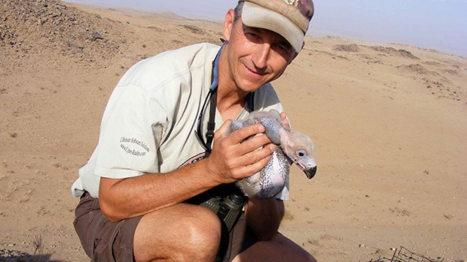 Richard Reading, vice president for conservation biology at the Denver Zoo, holds a vulture during a research trip to Africa. Reading will talk at UNL on May 6.