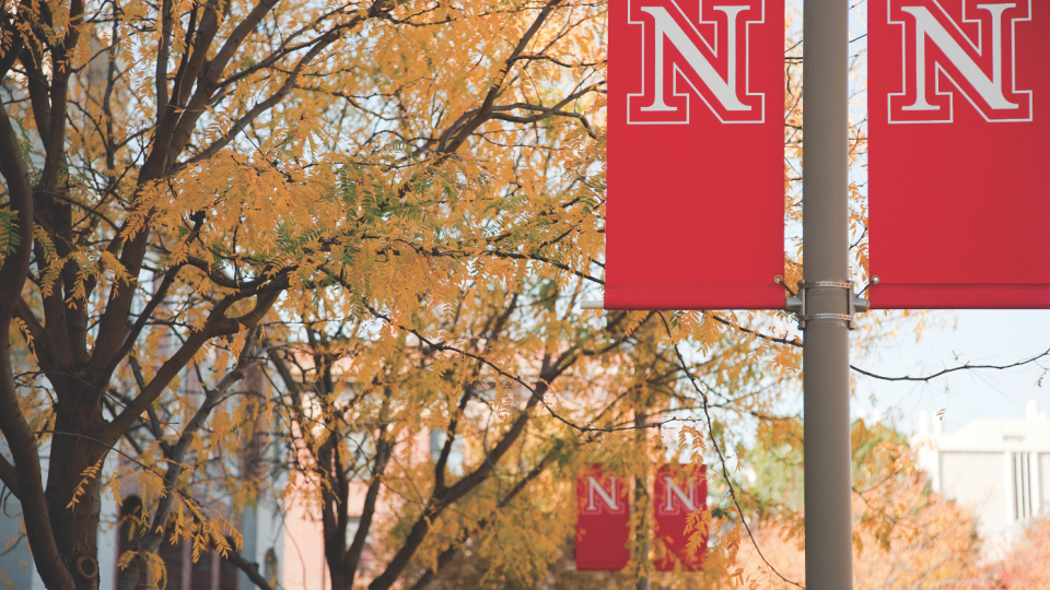The benefits enrollment period for UNL employees is Nov. 18 to Dec. 6.