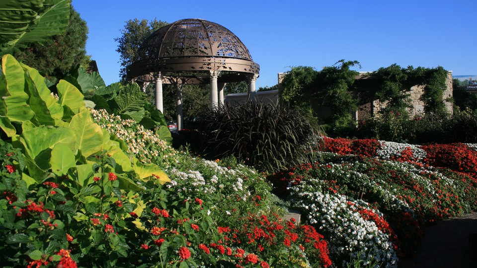 The Nebraska Statewide Arboretum's Gardens in July series will examine three planting areas, including Lincoln's Sunken Gardens, on July 13. The tours, which feature community gardens, are offered Wednesdays in July.