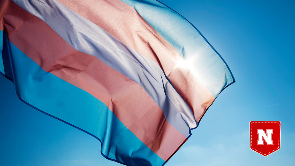 A transgender pride flag waves on the blue sky, moved by the wind, with the sun in the background.