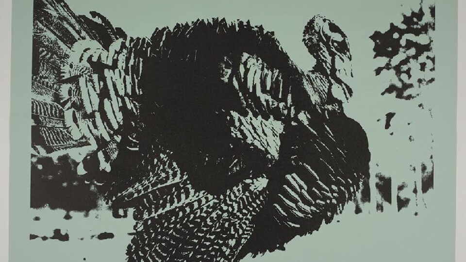 "Turkey" from Eugene Feldman's "Spot Book, A Portfolio of Animal Prints." The photo-offset lithograph is part of the Sheldon Museum of Art's collection.